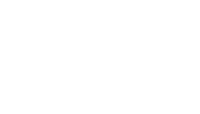 air logo