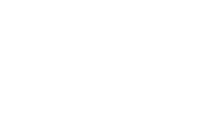 logo skyway