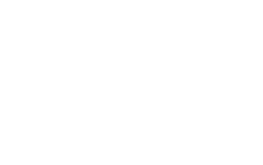 logo skyway black